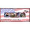 County Freedom Rock Sample